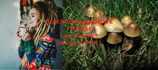 гидропоника Белокуриха