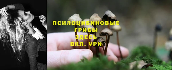 гидропоника Белокуриха