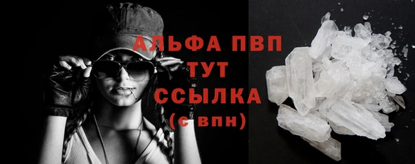 гидропоника Белокуриха