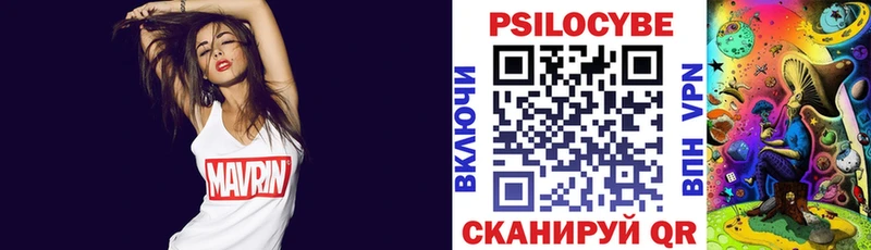 Галлюциногенные грибы Cubensis Славгород